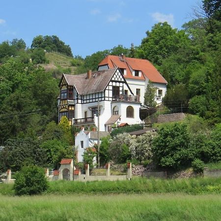 Ferienwohnung Elbsommer Am Weinberg Meißen Dış mekan fotoğraf