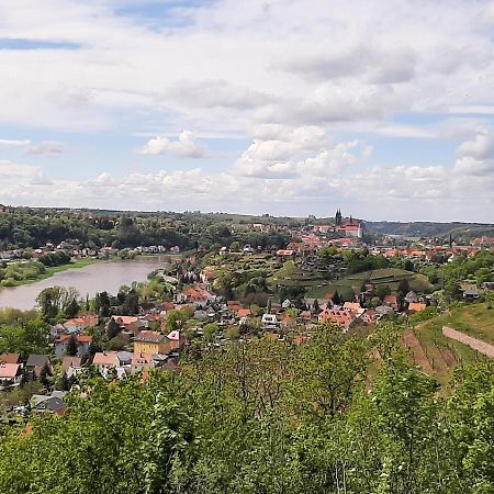 Ferienwohnung Elbsommer Am Weinberg Meißen Dış mekan fotoğraf