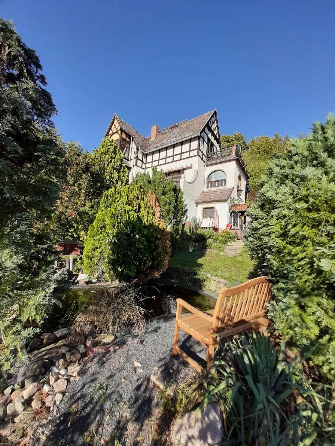 Ferienwohnung Elbsommer Am Weinberg Meißen Dış mekan fotoğraf