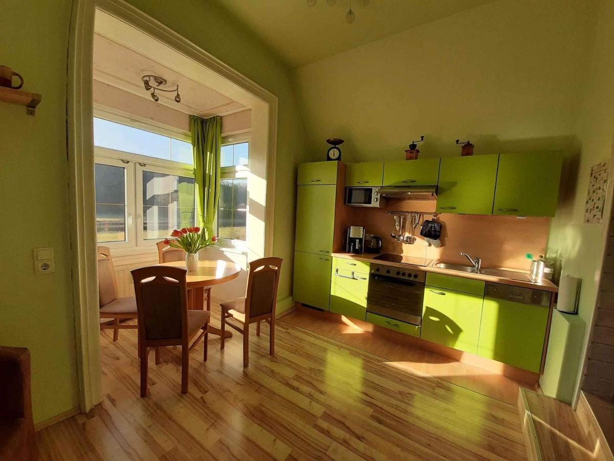 Ferienwohnung Elbsommer Am Weinberg Meißen Dış mekan fotoğraf