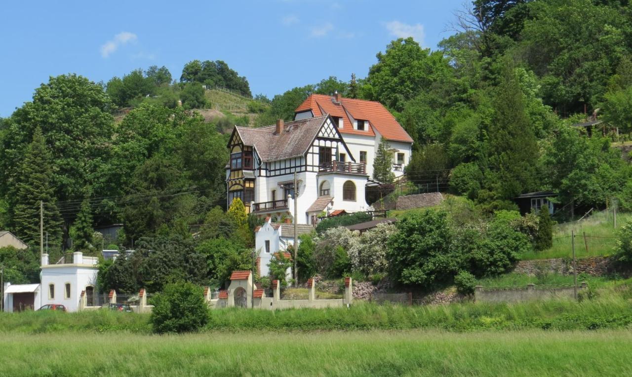 Ferienwohnung Elbsommer Am Weinberg Meißen Dış mekan fotoğraf